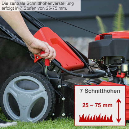 Scheppach MS225-53E Benzin-Rasenmäher – 6 PS, E-Start, 53 cm Schnittbreite, Radantrieb, 65 L Korb, Mulchfunktion, Seitenauswurf, Höhenverstellung