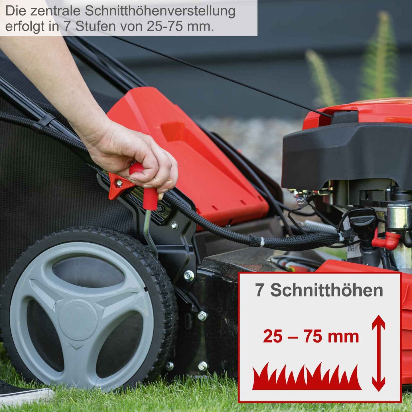 Scheppach MS225-53E Benzin-Rasenmäher – 6 PS, E-Start, 53 cm Schnittbreite, Radantrieb, Mulchfunktion, 65 L Fangkorb, inkl. Motoröl, Reinigungsfunktion
